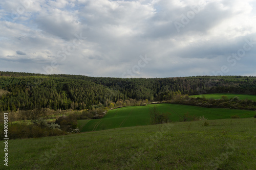 Landschaft im Sommer