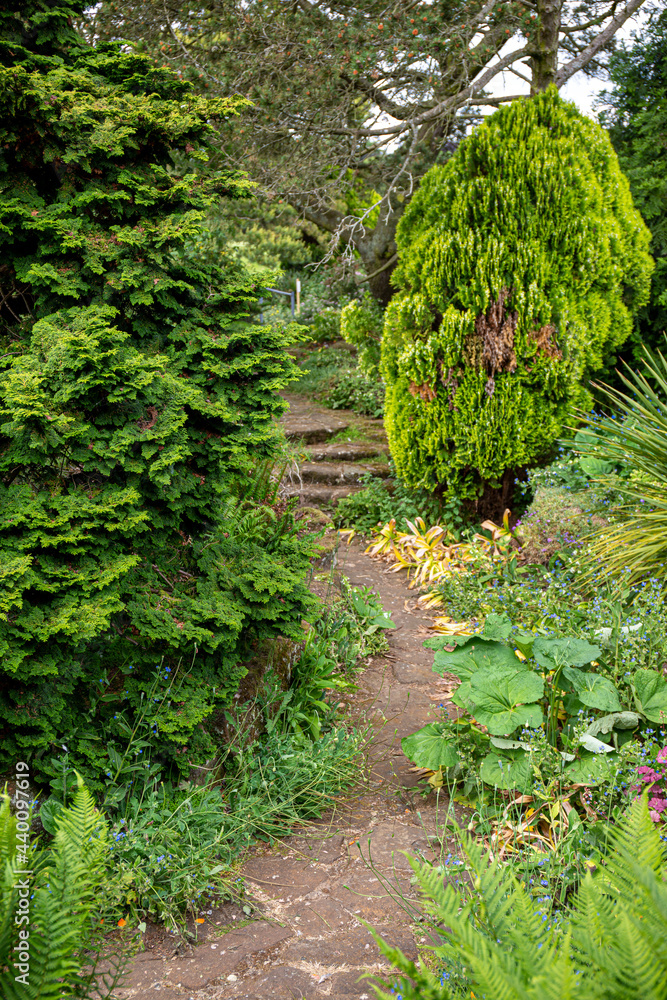 Naklejka premium Path in luscious garden