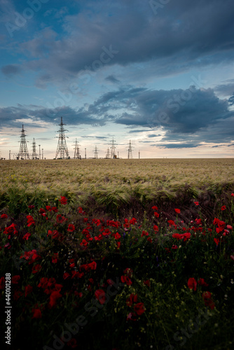 Power lines and sky with clouds.Wires over the fields.Powerful lines of electric gears.Field and aerial lines, silhouettes at dusk.Poppies in the foreground. Field. photo