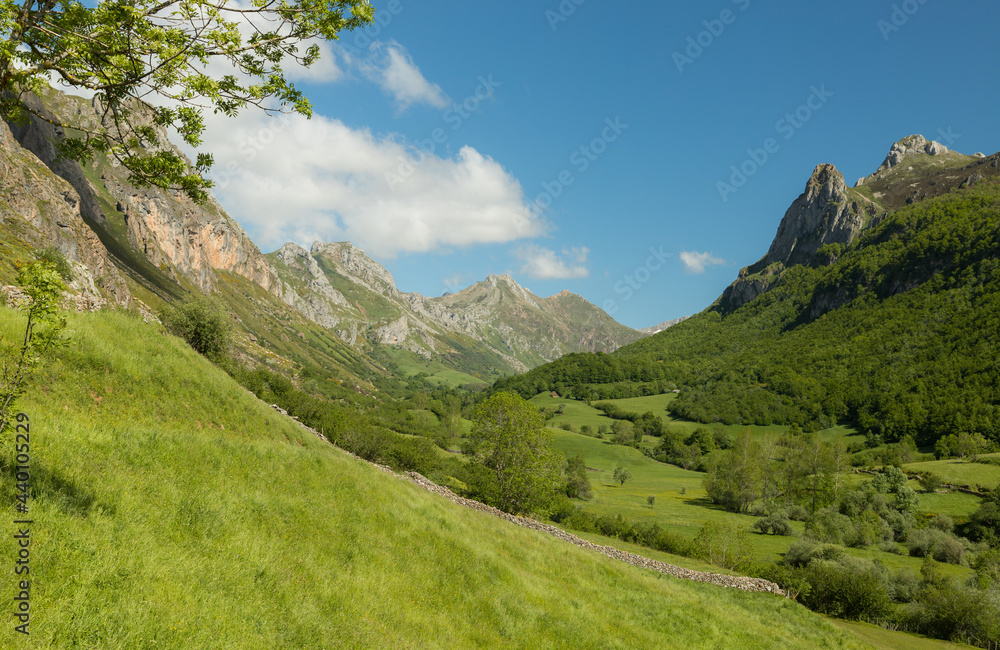 Pristine green nature landscape of Somiedo Natural Park in spring