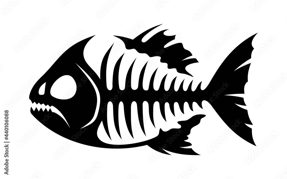 Piranha fish skeleton on white background in vector EPS8 Piranha fish skeleton on white background in vector EPS8