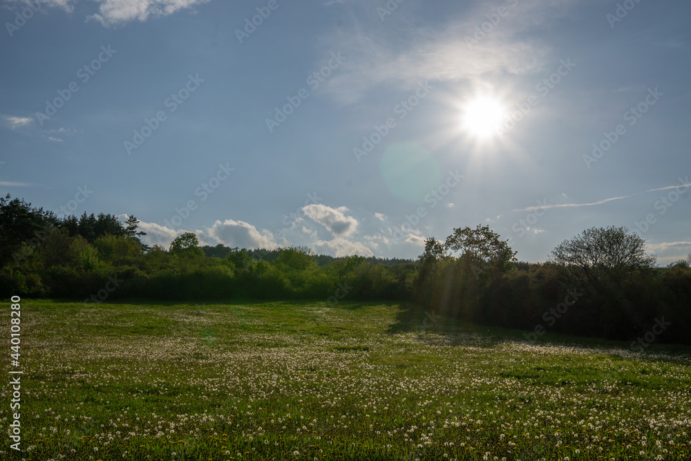 Landschaft im Sommer Landschaft im Sommer