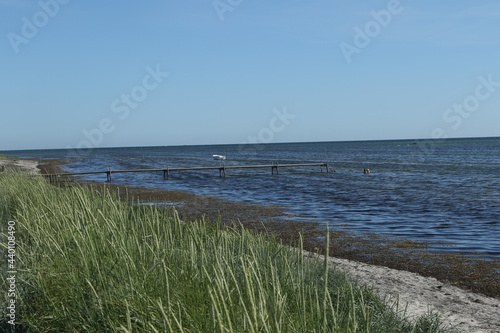 beach and dunes