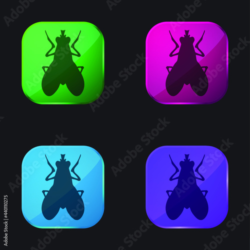 Accountant four color glass button icon