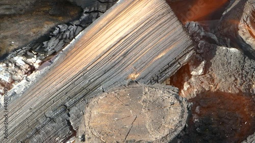Burning firewood close-up. Burning with orange and yellow flames.