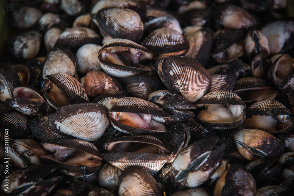 Sea shells for sale in Ban Chong Samaesan Market, Thailand.