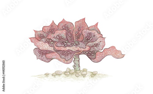 Illustration Hand Drawn Sketch of Echeveria Etna. A Succulent Plants for Garden Decoration.
