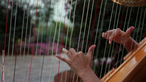 harp strings and harpist wedding ceremony