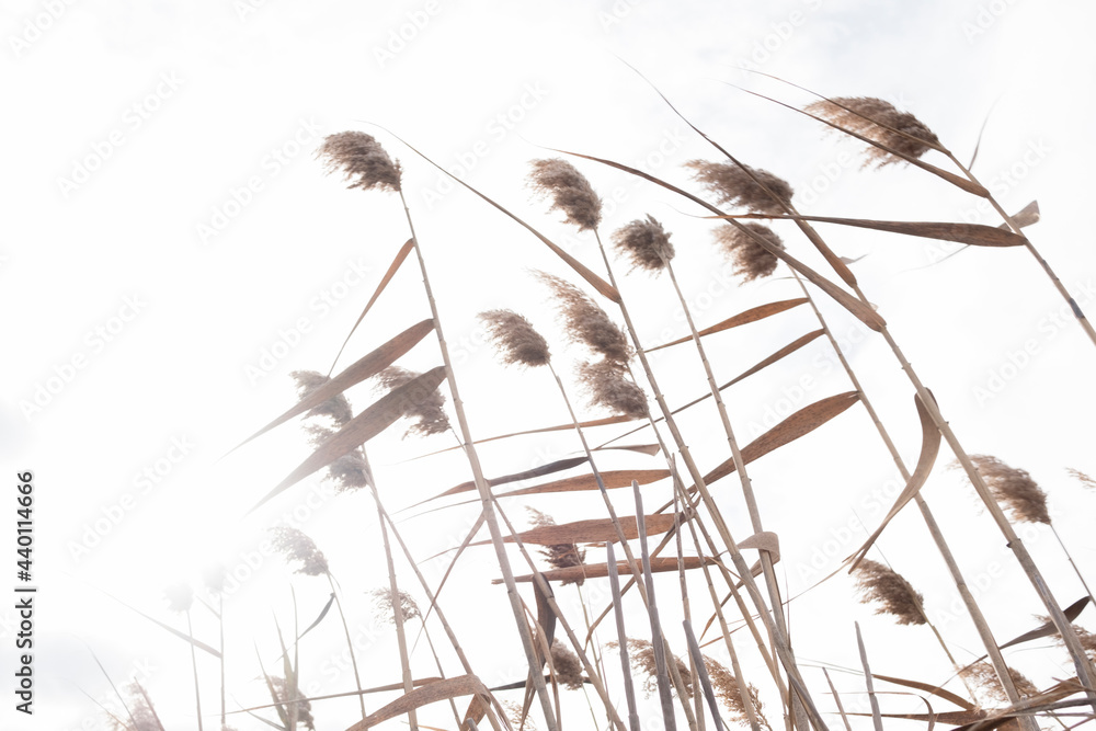 Obraz premium Already