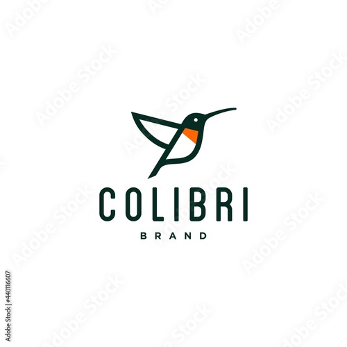 Archilochus hummingbird colibri logo icon design vector 