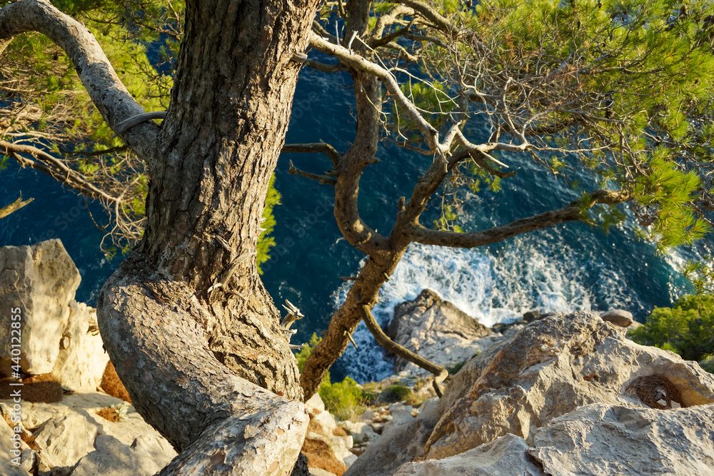Obraz premium Croatia, Pasjaca beach and cliffs near Dubrovnik. Beautiful landscape taken at sunset. Seaside at sunset time. 