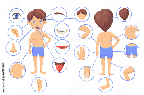 Human body parts cartoon vector illustration. Poster with boy character and his anatomy parts as face, hair, head, ear, knee, nose, fingers, mouth, chest. Biology, preschool education, game concept