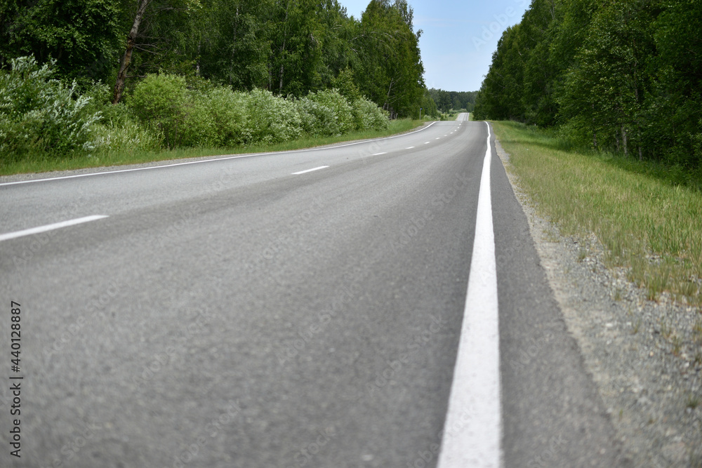 High-speed asphalt highway in the forest during the day High-speed asphalt highway in the forest during the day