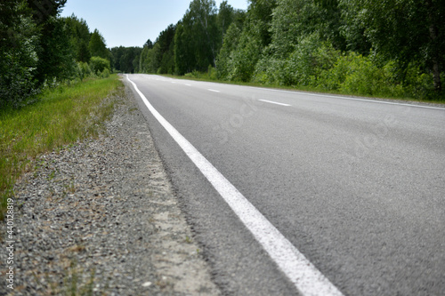 Wallpaper Mural High-speed asphalt highway in the forest during the day Torontodigital.ca