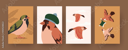 Set of contemporary art posters with sparrows and winter caps. Bird wearing hat cartoon vector illustrations. Fashion, winter, nature concept for designs, social media, postcards, invitation cards photo