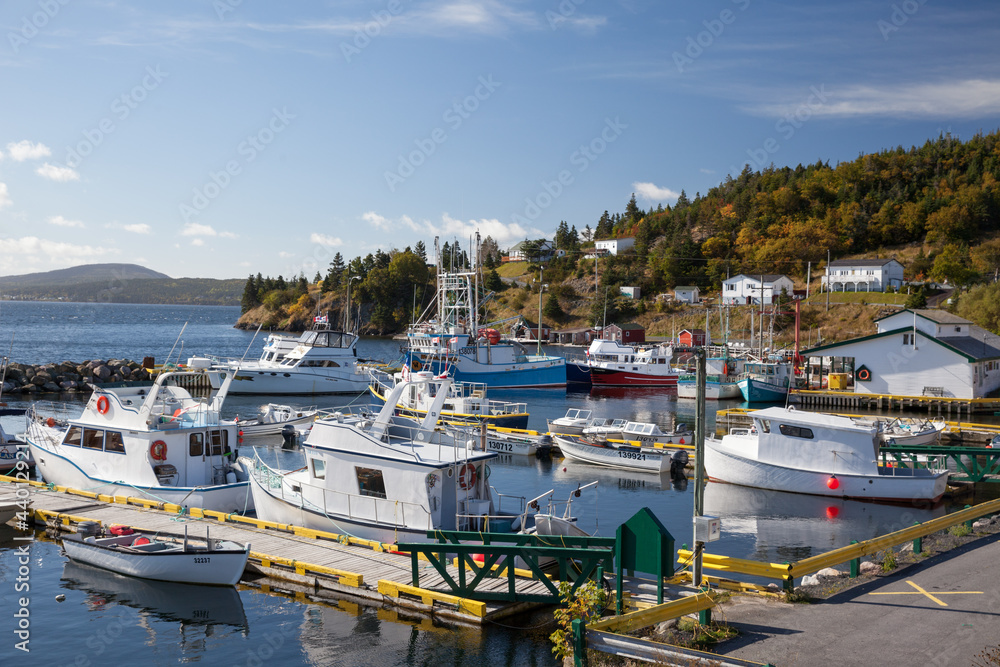 Boats in harbour in Dildo Newfoundland
