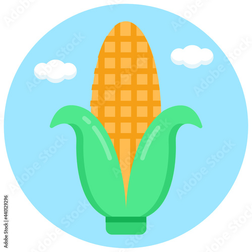 Corn 