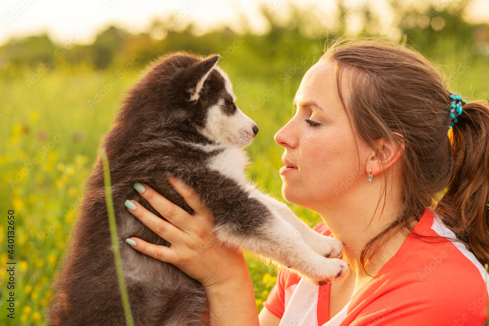 Young woman in a T-shirt hugs a husky puppy at sunset outdoors. The relationship between dog and owner Young woman in a T-shirt hugs a husky puppy at sunset outdoors. The relationship between dog and owner