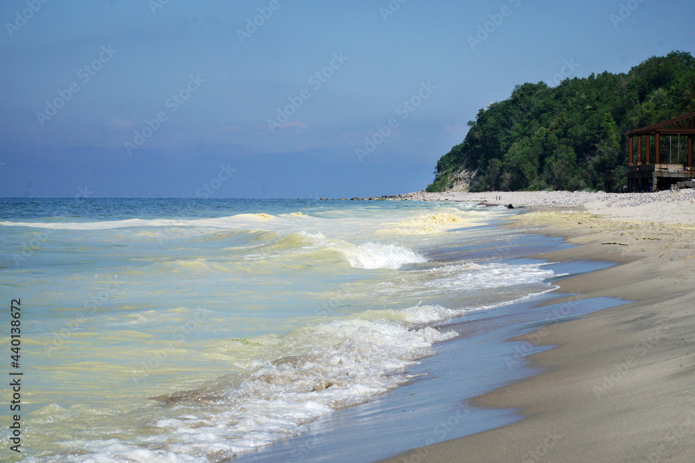 yellow baltic sea with yellow pollen beach sand trees yellow baltic sea with yellow pollen beach sand trees