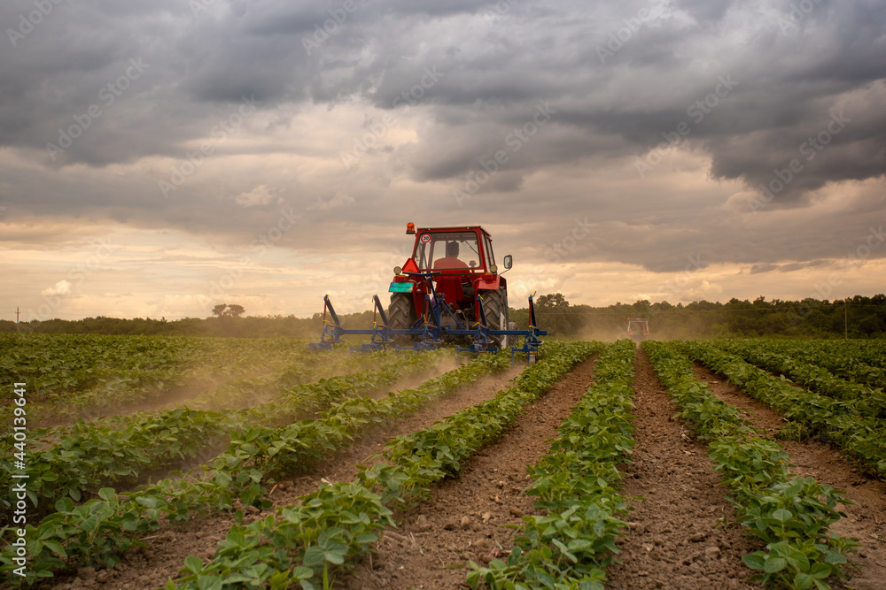 Tractor working in soy field in spring Tractor working in soy field in spring