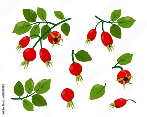 Rose hips icons collection isolated on white background. Red wild rosehip berries on branch with green leaves. Vector illustration for healthy food or nature design.