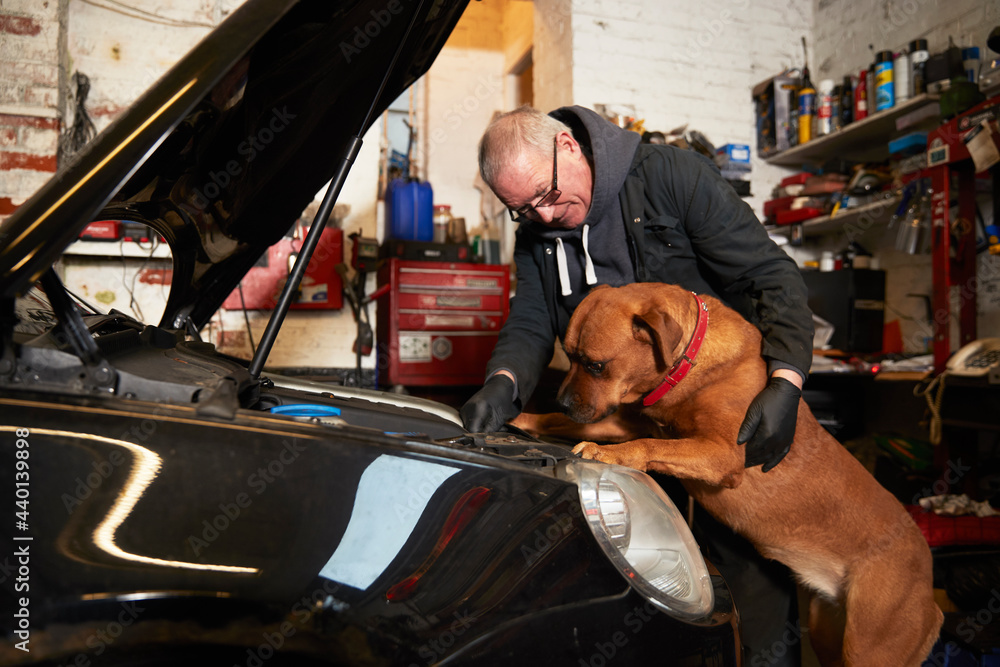 © Pete Muller/Westend61 - Male mechanic repairing car while looking at dog in garage © Pete Muller/Westend61 - Male mechanic repairing car while looking at dog in garage