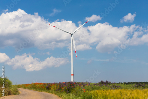 Windrad auf ökologisch wertvoller Wiese