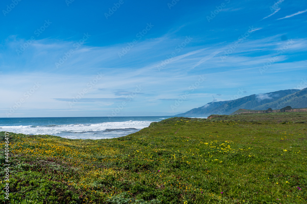 A California Central Coast Seascape