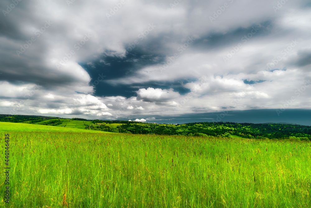 Obraz premium green field and blue sky