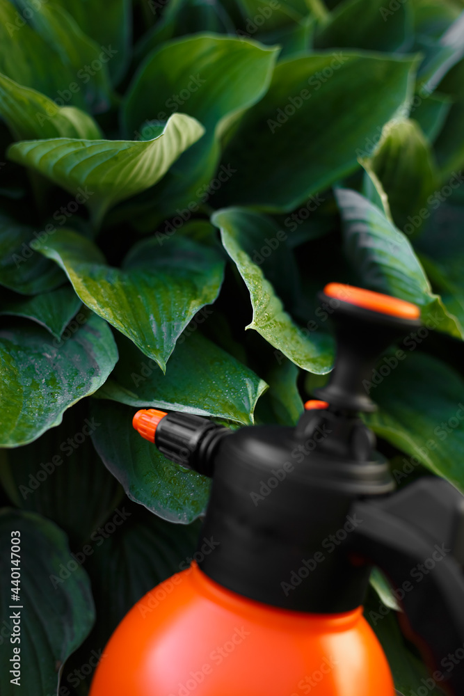 Naklejka premium Close-up manual garden hand compression sprayer with pump. Orange sprayer with plants. Farmer spraying tree with manual pesticide sprayer against insects in autumn garden. Agriculture and gardening