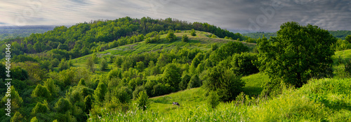 Wooded hilly area in the evening before rain, panoramic landscape. © APHOTOSTUDIO