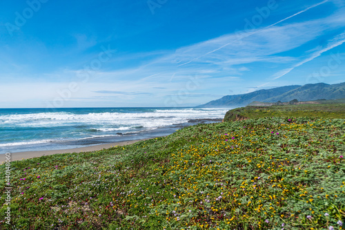 A California Central Coast Seascape