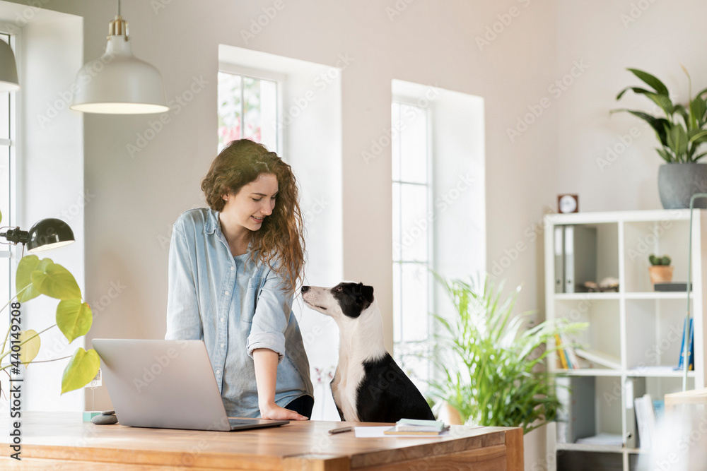 © steve brookland/Westend61 - Beautiful smiling female professional looking at Jack Russell Terrier while leaning on desk in home office © steve brookland/Westend61 - Beautiful smiling female professional looking at Jack Russell Terrier while leaning on desk in home office
