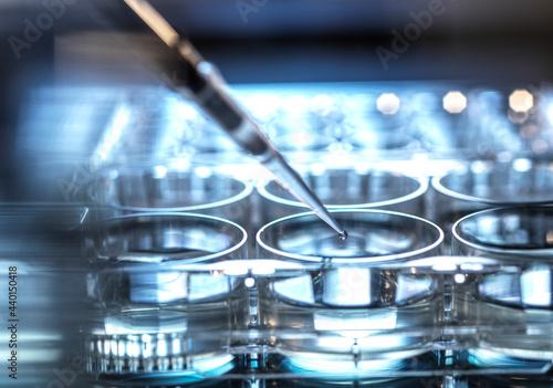 Drop of scientific sample falling in microplate from pipette at laboratory photo