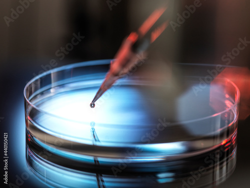 Pipetting sample into petri dish at laboratory