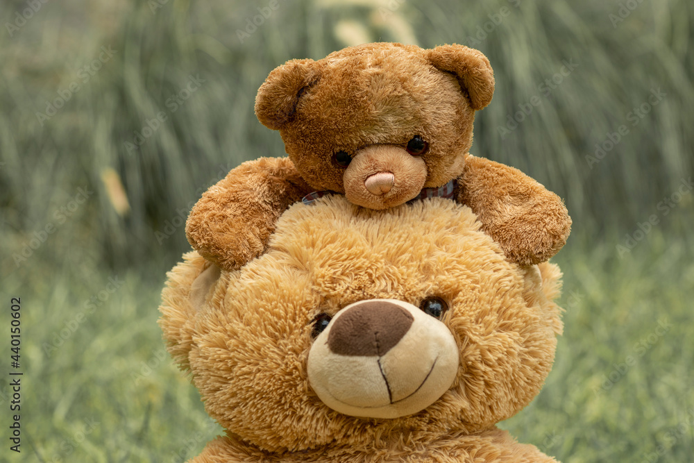 Teddy bear with little bear outdoors Teddy bear with little bear outdoors