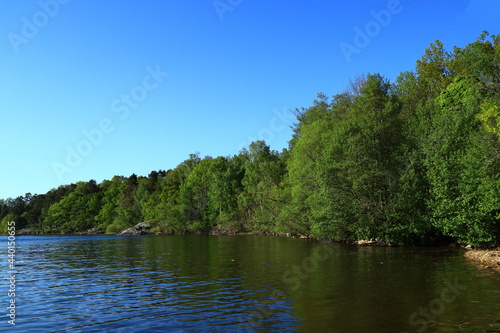 A nice and pretty Swedish landscape. Summer day with a calm lake and one green forest in the background. Clear blue sky. Good weather. Stockholm  Sweden  Scandinavia  Europe.