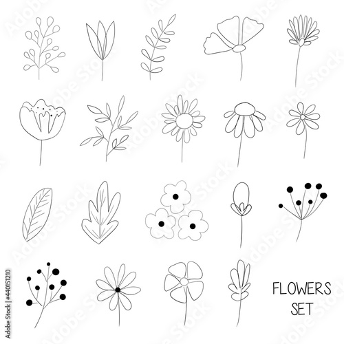 set of vector flowers on a white background in the style of doodle. elements for creating a design with flowers