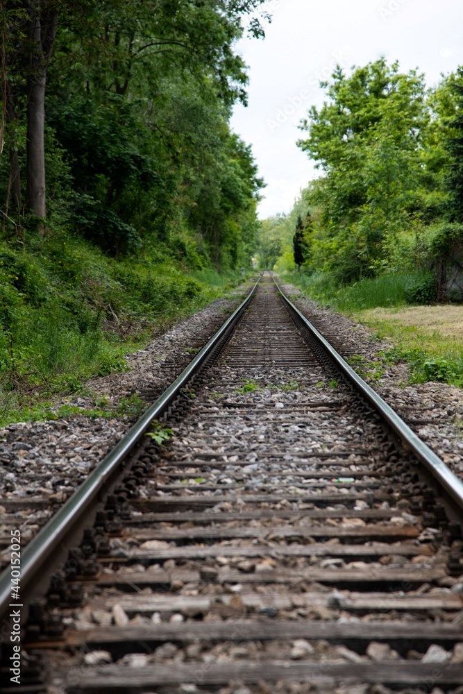 empty railroad tracks through a green forest in diminishing perspective