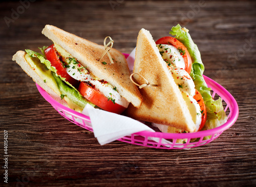 Studio shot of two vegetarian sandwiches with Caprese salad, tomatoes, mozzarella and lettuce photo