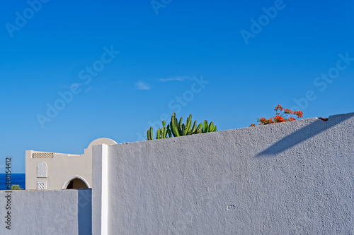 A tall cactus, a flowering tree, the building is behind a white textured stone wall near the sea against the backdrop of a clear blue sky. Minimalist abstract architectural concept.