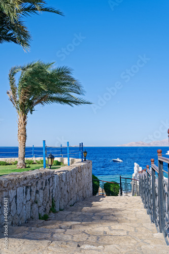 A stone staircase leads to the sea through a garden with palm trees against a clear blue sky. The yacht is at sea  the lantern and bushes are near the fence. Abstract summer vacation concept.