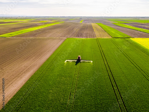 Tractor fertilizing uncultivated wheat farm