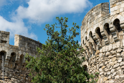 Historic Belgrade Fortress in Kalemegdan park in Belgrade, capital of Serbia photo