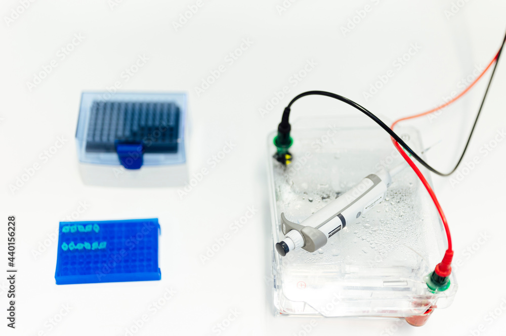 Microtube rack with pipette and electrophoresis apparatus in laboratory Microtube rack with pipette and electrophoresis apparatus in laboratory