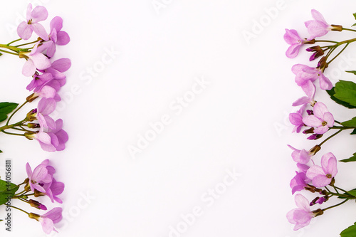 Bright delicate pink wildflowers on a light background. © leanna