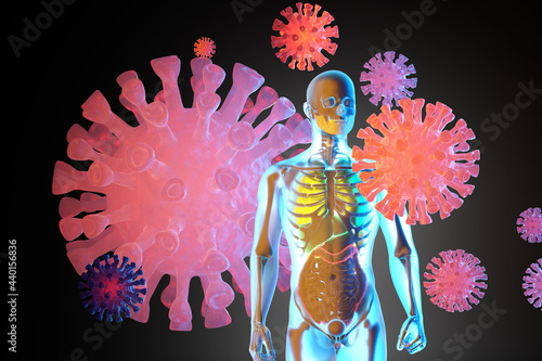 3D Illustration of human anatomy visualisation with skeleton and internal organs surrounded by virus photo