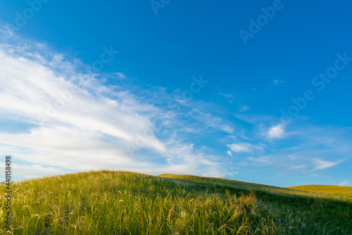 Grass in the hills and blue sky.