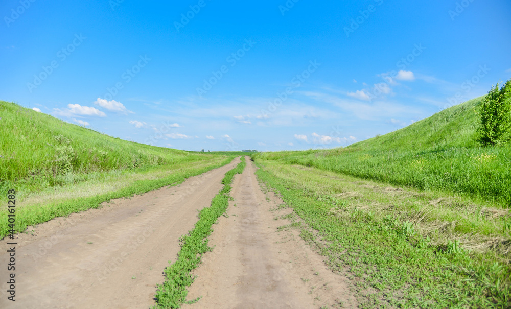 Green field in summer on a background of blue sky