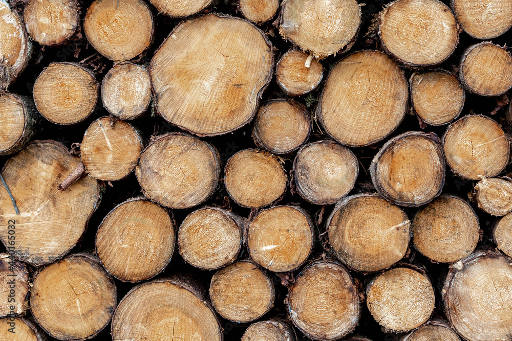 Cut tree trunks, Dry chopped firewood logs stacked up on top of each other in a pile, Timber wood wall texture background. Cut tree trunks, Dry chopped firewood logs stacked up on top of each other in a pile, Timber wood wall texture background.